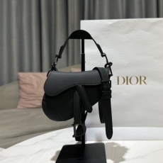 Christian Dior Saddle Bags